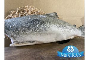 Кижуч рыба тушка ПБГ, 1 кг